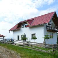 Vila Eli din Măgura