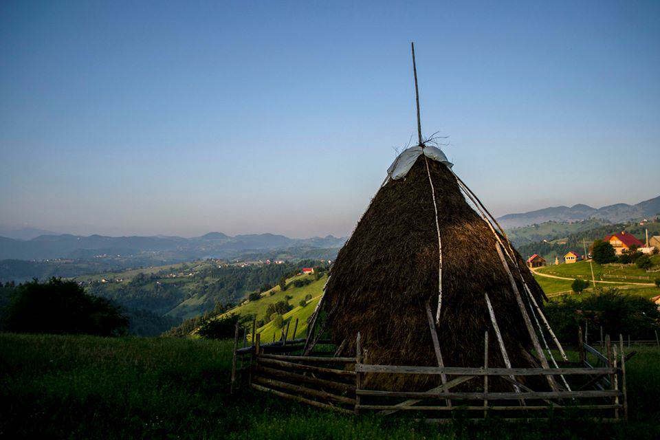 Vila Eli din Măgura