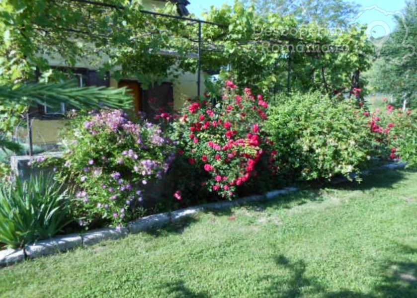 Casa-de-vacanță-Simona-din-Gura-Raului-Sibiu-Siubiu-si-imprejurimi-10-839x600 Casa de vacanță Simona din Gura Raului - Sibiu - Siubiu si imprejurimi (10)
