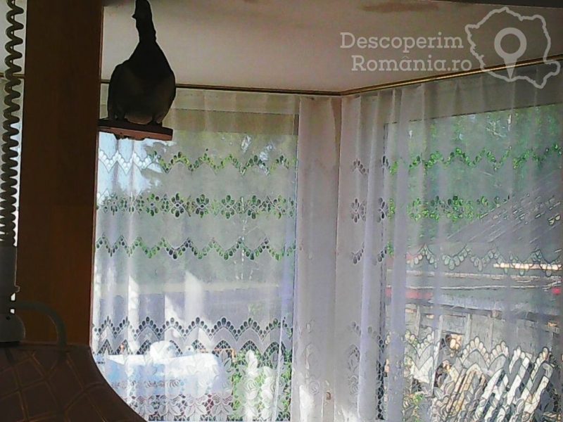 Cazar-la-Cabana-Padurarului-din-Belis-Cluj-Transilvania-26-800x600 Cazar la Cabana Padurarului din Belis - Cluj - Transilvania (26)