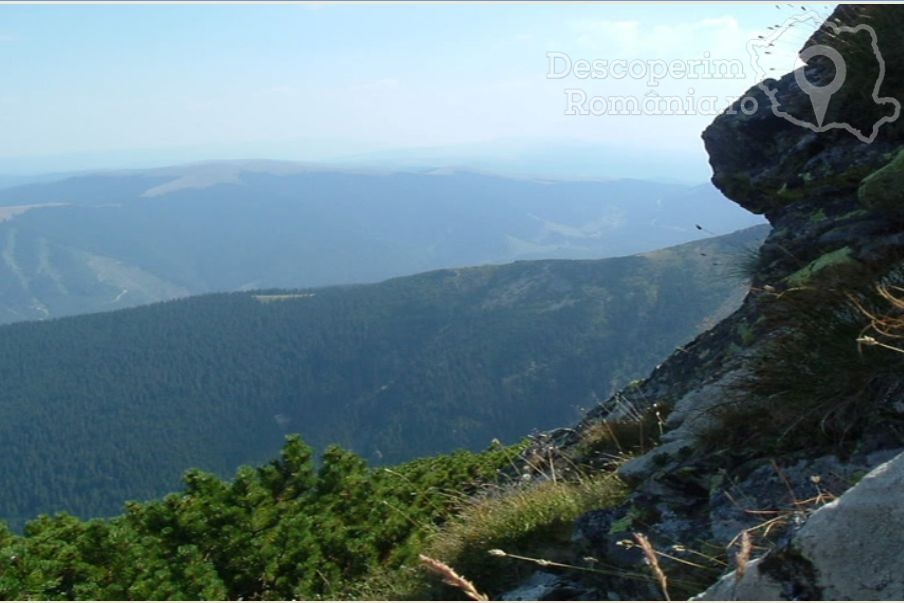 Cabana Bujorul Muntelui din Parâng