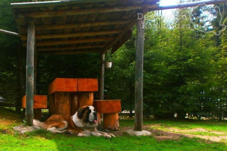 Cabana Groapa Seacă din Parâng