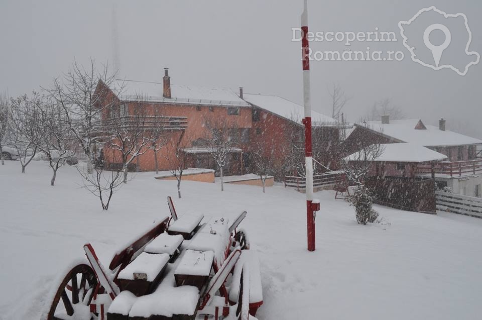 Cabana Plaiul Parângului din Parâng