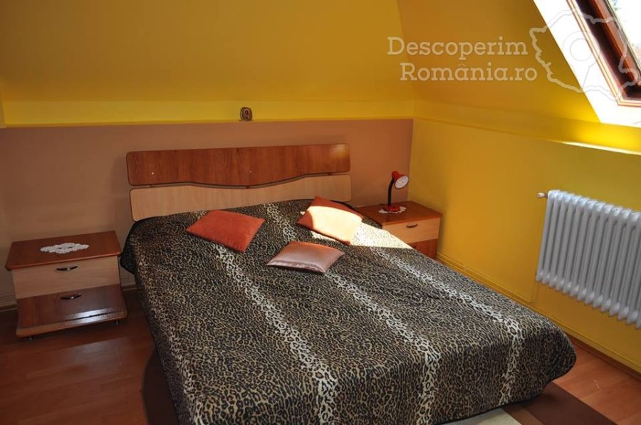 Casa Alina – Cameră dublă matrimonială