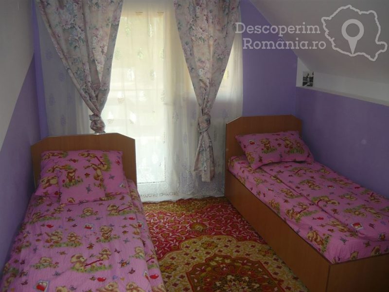 Casa Alina – Cameră dublă twin