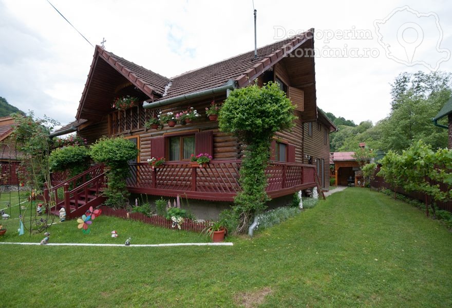 Casa Bunicii din Costești Hunedoara