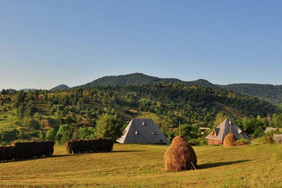 Casele de vacanță Luca și Vicențiu din Botiza