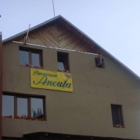 Pensiunea Ancuța din Râușor