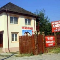 Pensiunea Andra din Dumbrava Roșie