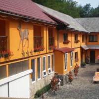 Pensiunea Căprioara din Baia Mare
