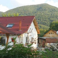 Pensiunea Cuibul Salamandrelor din Păucinești