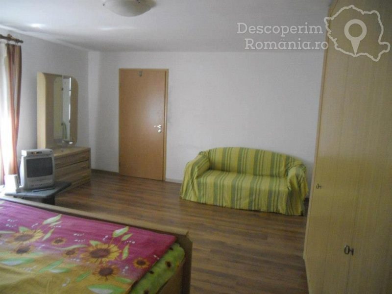 Pensiunea Cuibul Salamandrelor – Apartament cu 2 camere