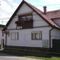 Pensiunea Ileana din Orlat