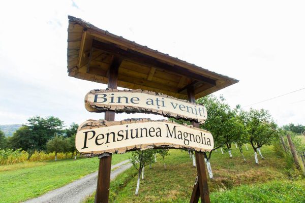 Pensiunea Magnolia din Vișeu de Sus