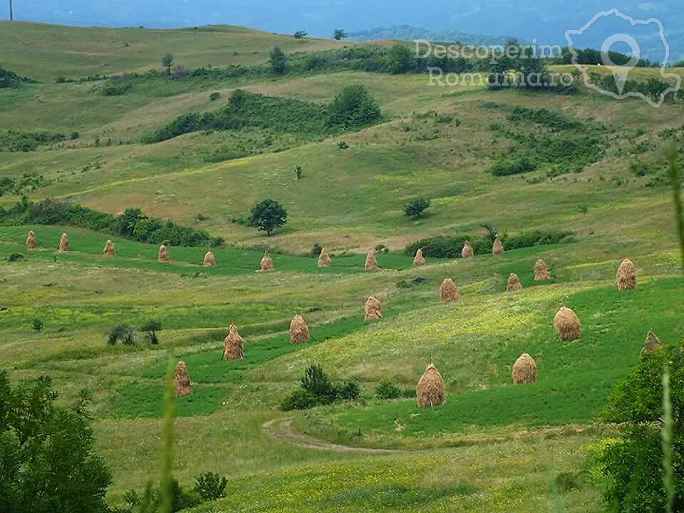 Pensiunea Marissandra din Târgu Lăpuș