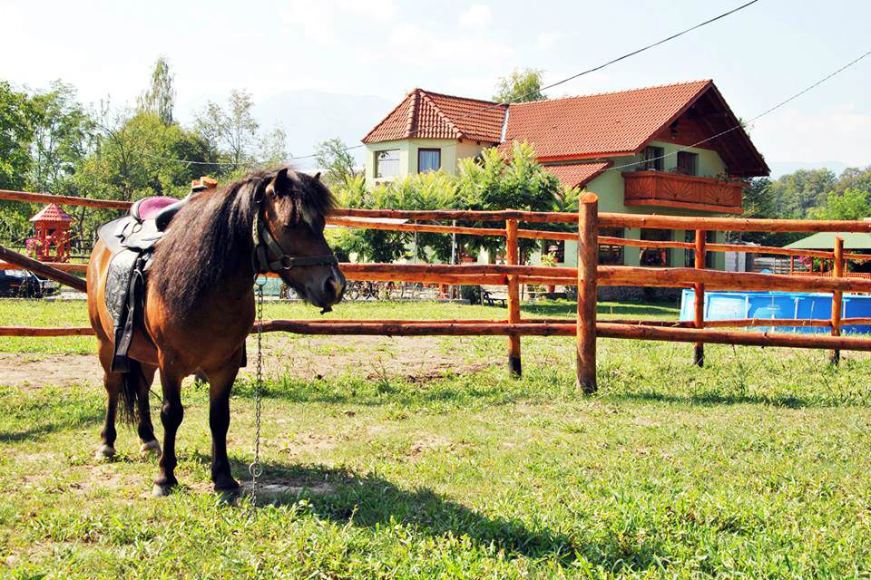 Pensiunea Poiana Avrigului din Valea Avrigului