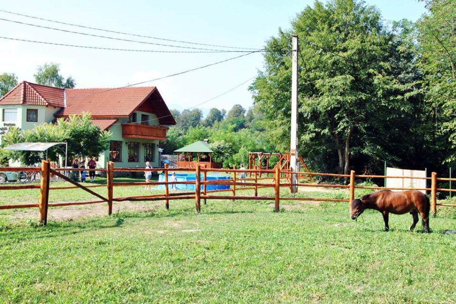 Cazare-la-Pensiunea-Poiana-Avrigului-din-Avrig-Sibiu-7-900x600 Cazare la Pensiunea Poiana Avrigului din Avrig - Sibiu (7)