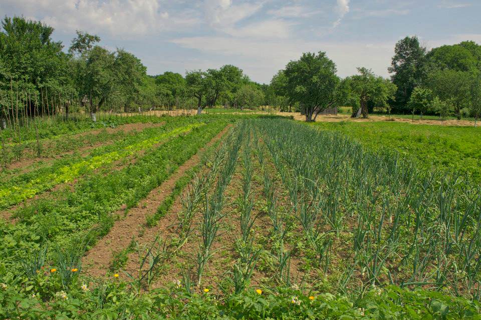 Pensiunea agroturistică La Vasile la Cazan din Mara