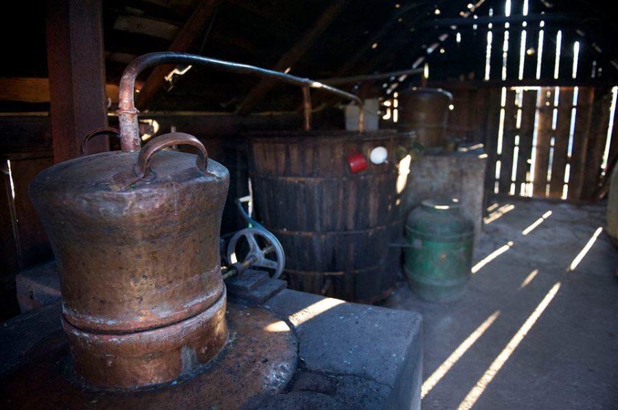 Cazare-la-Pensiunea-agroturistica-La-Vasile-la-Cazan-Maramures-din-Mara-3-900x598 Cazare la Pensiunea agroturistica La Vasile la Cazan - Maramures din Mara (3)