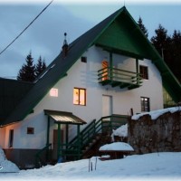 Vila Rareș din Râușor