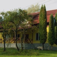 Vila Roseta din Cărbunari