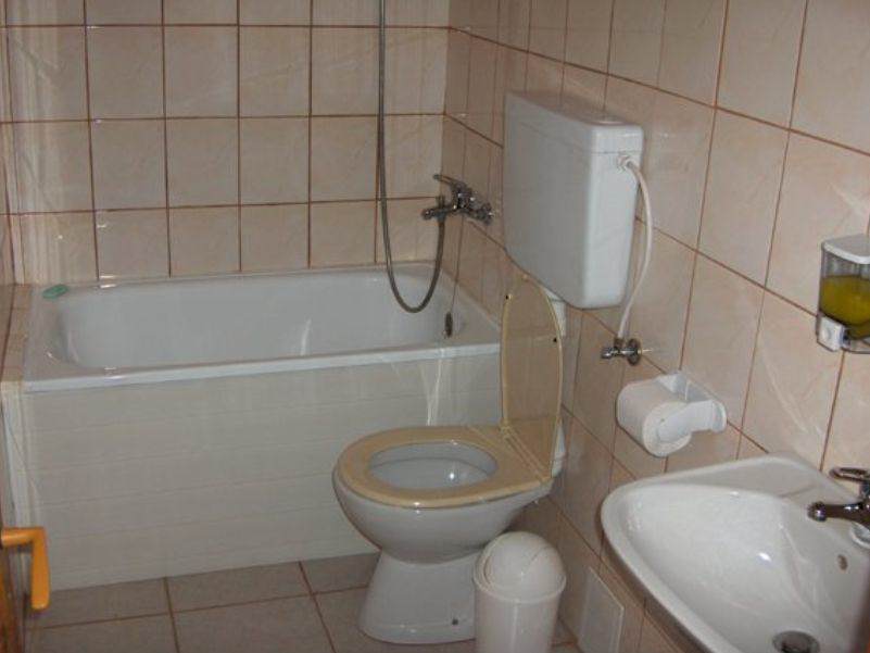 Vila Roseta din Cărbunari