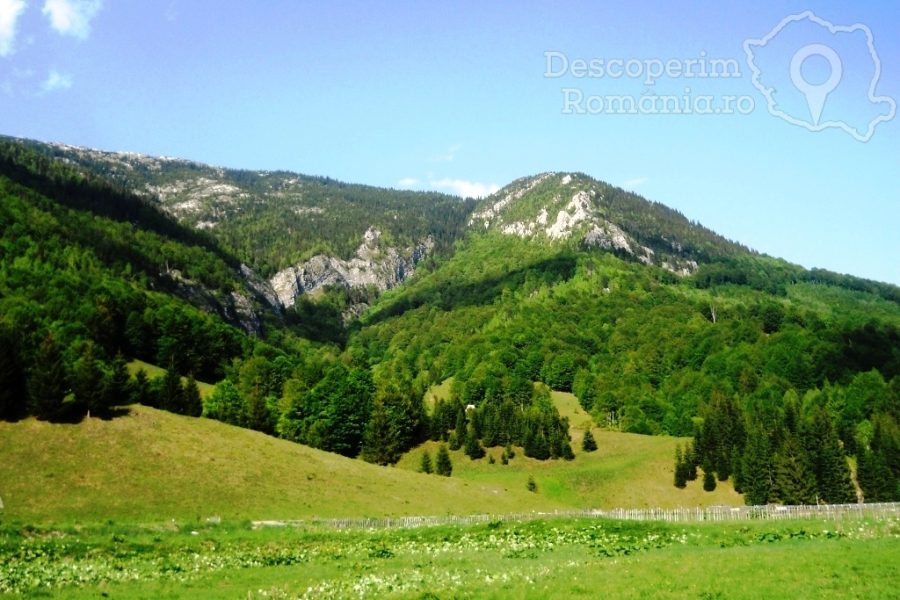 Câmpu-lui-Neag-–-satul-momarlanilor-de-la-Poalele-Retezatului-0-900x600 Câmpu lui Neag – satul momarlanilor de la Poalele Retezatului (0)