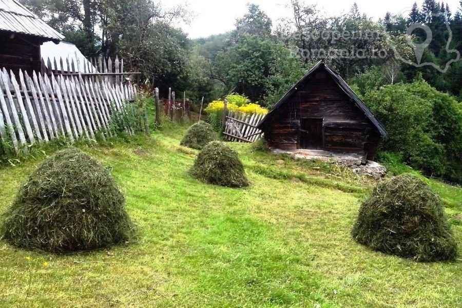 Câmpu-lui-Neag-–-satul-momarlanilor-de-la-Poalele-Retezatului-11-900x600 Câmpu lui Neag – satul momarlanilor de la Poalele Retezatului (11)