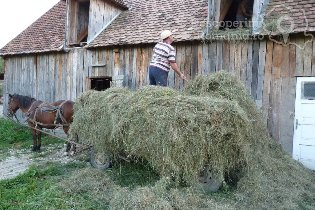 Pensiunea Bio-Haus din Nucet