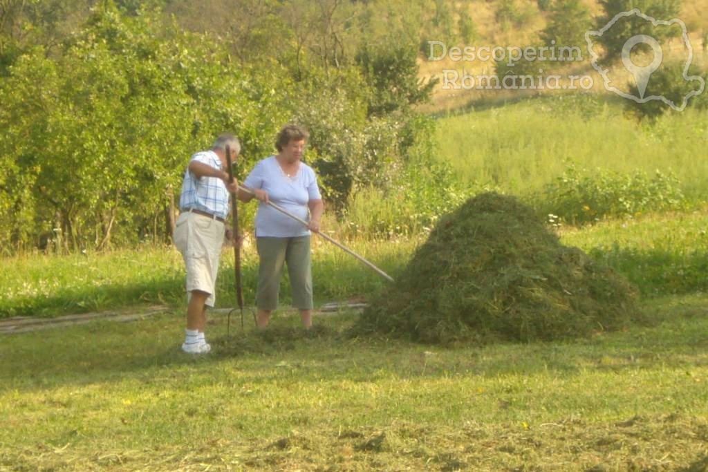 Pensiunea Bio-Haus din Nucet