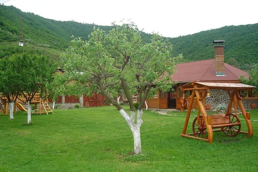 Pensiunea Casa Lucas din Gura Râului