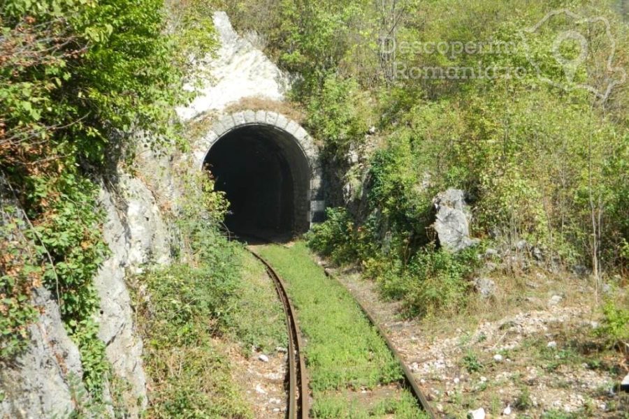 Semeringul-Banatean-–-cea-mai-veche-cale-ferata-montana-din-Romania-14-900x600 Semeringul Banatean – cea mai veche cale ferata montana din Romania (14)