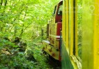 Semeringul Banatean – cea mai veche cale ferata montana din Romania (18)