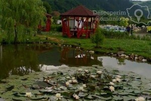 Cazare-la-Pensiunea-Galaxy-din-Lupsa-Valea-Ariesului-25-300x200 Cazare la Pensiunea Galaxy din Lupsa - Valea Ariesului (25)