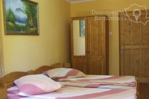 Cazare-la-Pensiunea-Viktoria-din-Baile-Tusnad-Tinutul-Secuiesc-17-300x200 Cazare la Pensiunea Viktoria din Baile Tusnad - Tinutul Secuiesc (17)