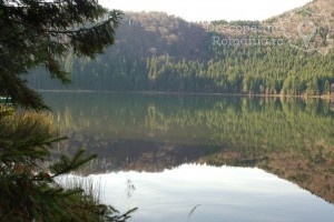Cazare-la-Pensiunea-Viktoria-din-Baile-Tusnad-Tinutul-Secuiesc-26-300x200 Cazare la Pensiunea Viktoria din Baile Tusnad - Tinutul Secuiesc (26)