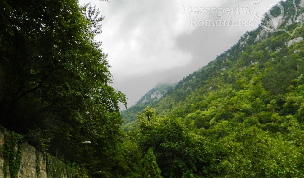 Parcul Național Domogled-Valea Cernei