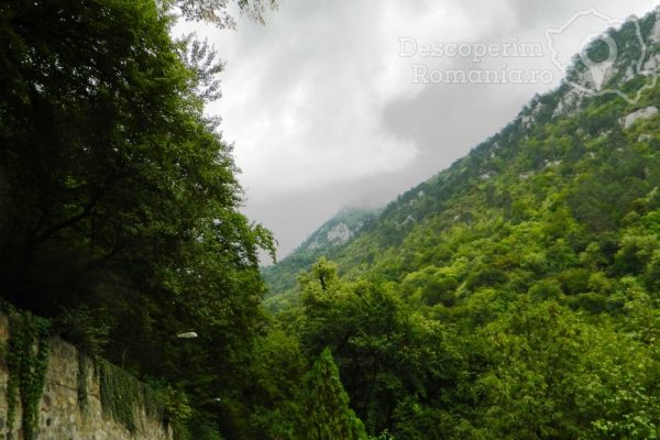 Parcul Național Domogled-Valea Cernei