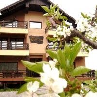 Pensiunea Margo din Lilieci - Bacau - Moldova