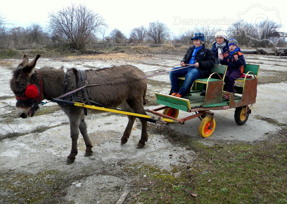 Cabanele Dorulet din Rau de Mori