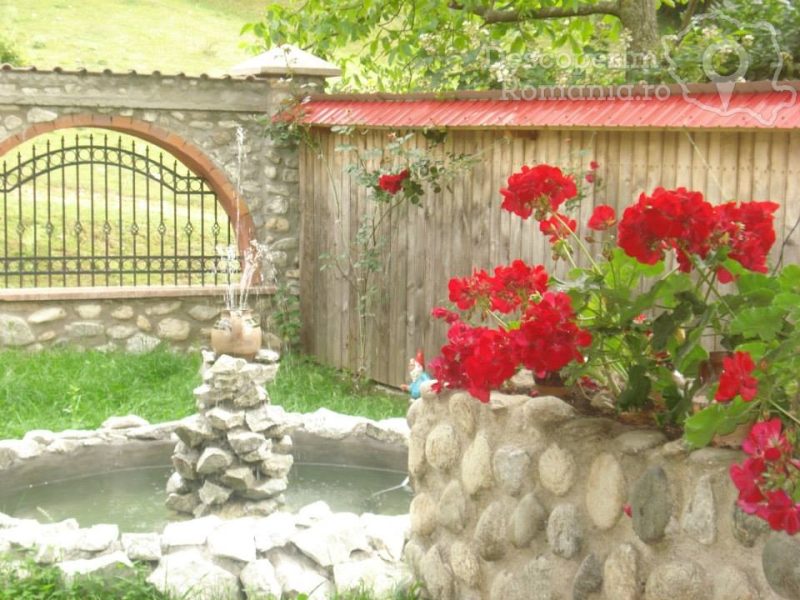 Cazare-la-Pensiunea-Casa-din-Salcami-din-Polovragi-Gorj-Oltenia-23-800x600 Cazare la Pensiunea Casa din Salcami din Polovragi - Gorj - Oltenia (23)