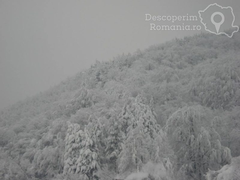 Cazare-la-Pensiunea-Casa-din-Salcami-din-Polovragi-Gorj-Oltenia-3-800x600 Cazare la Pensiunea Casa din Salcami din Polovragi - Gorj - Oltenia (3)
