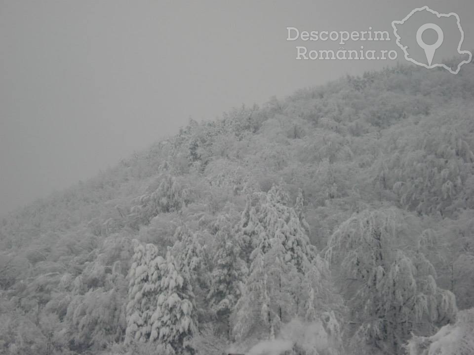 Cazare la Pensiunea Casa din Salcami din Polovragi - Gorj - Oltenia