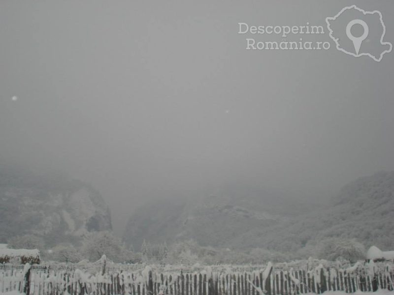 Cazare-la-Pensiunea-Casa-din-Salcami-din-Polovragi-Gorj-Oltenia-8-800x600 Cazare la Pensiunea Casa din Salcami din Polovragi - Gorj - Oltenia (8)