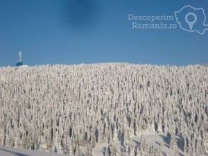 Cazare-la-Pensiunea-Eden-din-Comandau-Covasna-Tinutul-Secuiesc-18-300x225 Cazare la Pensiunea Eden din Comandau - Covasna - Tinutul Secuiesc (18)