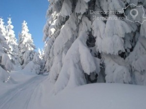 Cazare-la-Pensiunea-Eden-din-Comandau-Covasna-Tinutul-Secuiesc-21-300x225 Cazare la Pensiunea Eden din Comandau - Covasna - Tinutul Secuiesc (21)