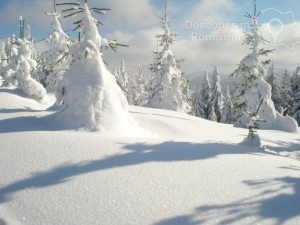 Cazare-la-Pensiunea-Eden-din-Comandau-Covasna-Tinutul-Secuiesc-22-300x225 Cazare la Pensiunea Eden din Comandau - Covasna - Tinutul Secuiesc (22)