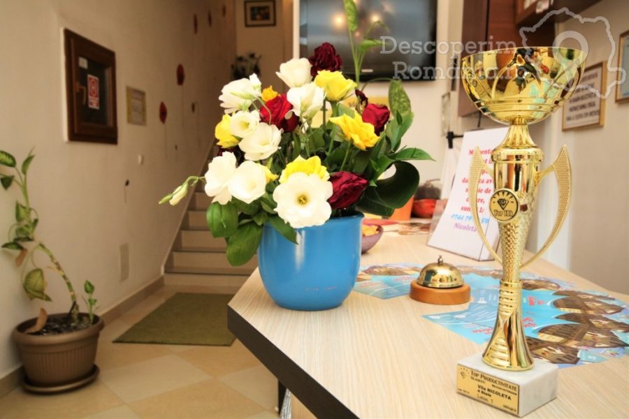 Cazare-la-Vila-Nicoleta-din-Baile-Olanesti-Valcea-Oltenia-16-900x600 Cazare la Vila Nicoleta din Baile Olanesti - Valcea - Oltenia (16)