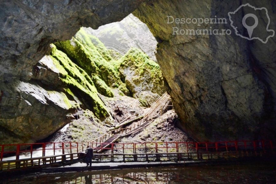 Ghetarul-de-la-Scarisoara-Inima-de-gheata-a-Muntilor-Apuseni-11-900x600 Ghetarul de la Scarisoara - Inima de gheata a Muntilor Apuseni (11)