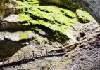 Ghetarul-de-la-Scarisoara-Inima-de-gheata-a-Muntilor-Apuseni-8-142x100 Ghețarul de la Scărișoara – inima de gheață a Munților Apuseni